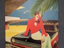 Trouble in Paradise [Vinyl LP] by La Roux | condition like new