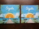 Sigala Brighter Days Colour Splatter Vinyl And Signed Print