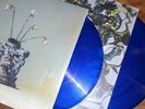 Limited Blue Board Set Of The Caretaker Everywhere At End Time Stage 2.3 Ambient