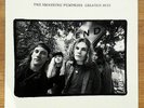 The Smashing Pumpkins  {Rotten Apples} Greatest Hits Vinyl 2LP w/Insert 2016 New