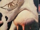 Aerosmith - Get A Grip LP. 1993 Brazil Pressing. W/ Inner Sleeves