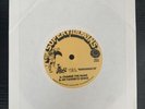 MF DOOM vs Inhumanz - Supervillians (2004) 7” Vinyl Rap / Hip-Hop