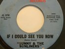 Northern Soul 45/ Sunny & Sunliners 