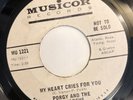 PORGY AND THE MONARCHS  MY HEART CRIES FOR YOU  MUSICOR PROMO Rare Northern Soul
