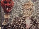TY SEGALL /Self Titled LP White & Coke Bottle Green Vinyl Limited to 200 MINT