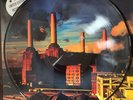 Pink Floyd -animals P disc limited edition vinyl