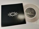 INTO ANOTHER Herbivore REV25 7 youth of today judge chain of strength side by lp