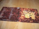 NOW THAT’S WHAT I CALL MUSIC 31  VINYL LP 1995   EXCELLENT  CONDITION