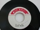 DELROY WILSON - DON'T KNOW WHY - COXSONE