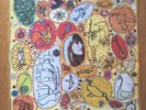 Joanna Newsom - The Milk-Eyed Mender [VINYL] Unopened Mint Condition LP
