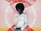 Steve Arrington-Down To The Lowest Terms: The Soul Sessions VINYL NEW
