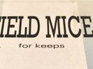 Field Mice For Keeps Vinyl LP 90s indie Pop Rock Sarah Records Bristol