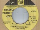 THE RAINBOW PEOPLE**THE WALK WILL DO YOU GOOD**DEMO**PYE LABEL**LISTEN