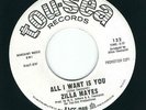 LA Northern Soul -Zilla Mayes TOU-SEA 132 All i want is you / I love you still ?