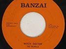 VALHALLA Witch Doctor / Mister Fantasy Private Garage Psych Canada VG++ 45 HEAR