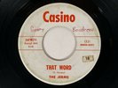 THE JERMS That Word / Love Light Casino Garage 45 HEAR