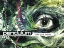PENDULUM Hold Your Colour (2018 Vinyl Edition 3xLP)