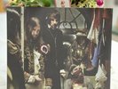 Kasabian West Ryder Pauper Lunatic Asylum vinyl 10