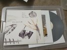 Daughter - Music From Before The Storm - 2018 RSD 2LP Silver Vinyl