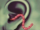 THEE OH SEES AN ODD ENTRANCES NEW SEALED VINYL LP IN STOCK