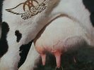 Aerosmith  Get a Grip GEF-2444  Original 1993 Pressing  Rare  German Import