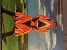 David Bowie Earthling Vinyl Record 2013 Rare Record Album Lp