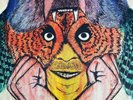 Amigo The Devil Volume 1 One Lp vinyl record black murder folk gatefold poster