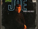 LITTLE JOE RITCHIE: sure can sing  BRUNSWICK 12