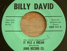 Billy David -It Was A Dream / The Chicken- Halloween R&B Rocker 45 Juno - Hear