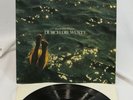 Hans Joachim Roedelius LP Vinyl German Import Durch Die Wuste Electronic