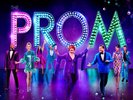 The Cast Of NETFLIX' - The Prom (Music From the Netflix Film) [New Vinyl LP]