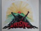 bob marley uprising vinyl / 1-1WA 1-1 sterling ST-1L-82508.B1-1