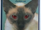 Blink 182 - Cheshire Cat Red Eyes 1995 Original RARE VINYL