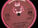 MODULATIONS I Can't Fight Your Love 7 INCH VINYL UK Buddah 1974 Solid Label