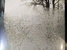 BON IVER - FOR EMMA, FOREVER AGO - VINYL LP - New Sealed