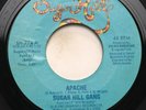 SUGAR HILL GANG - APACHE / RAPPER'S DELIGHT - RAP 45