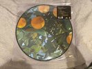 LANA DEL REY: VIOLET BENT BACKWARDS OVER THE GRASS LP Vinyl Picture Disc Ltd Ed