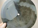 LED ZEPPELIN GOOD TIMES BAD TIMES X-Ray USSR Record Roentgen Bones  Music Vinyl