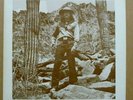 DENNIS DOMAS Private Press RURAL FOLK COWBOY OUTLAW THE OWL HOOT TRAIL LP