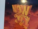 NOW THAT’S WHAT I CALL MUSIC 22 - VINYL LP 1992 RARE. Excellent Cond