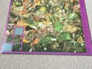 The Stone Roses So Young / Tell Me 12” Vinyl Single - ‘Japanese’ Pressing RARE