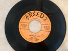 45 RPM Rockabilly Bill Perry, You Hit the Nail on the Head, Reed VG+