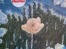 Pulsar - 
