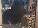 MF Doom - Viktor Vaughn - Vaudeville Villain (2019 Fat Beats RE, Black & Silver)