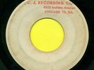 AARON MCNEIL  Tornadoes Without Romance / Carolyn TEST PRESS C. J.  Recs  MP3 
