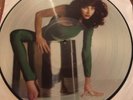 Kate Bush / The Kick  Inside Limited Edition Picture Disc Lp First Pressing