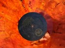 Cattle Decapitation ?- Death Atlas 2 x LP Solarcide Colored Vinyl Album - Record