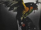 BUDGIE-In For The Kill (UK IMPORT) VINYL NEW