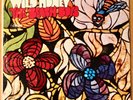 THE BEACH BOYS  WILD HONEY  CAPITOL T 2859 MONO RAINBOW ED 1 1967 LP F1/F1 VG+