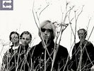 PETTY,TOM & HEARTBREAKERS-ECHO (US IMPORT) VINYL LP NEW